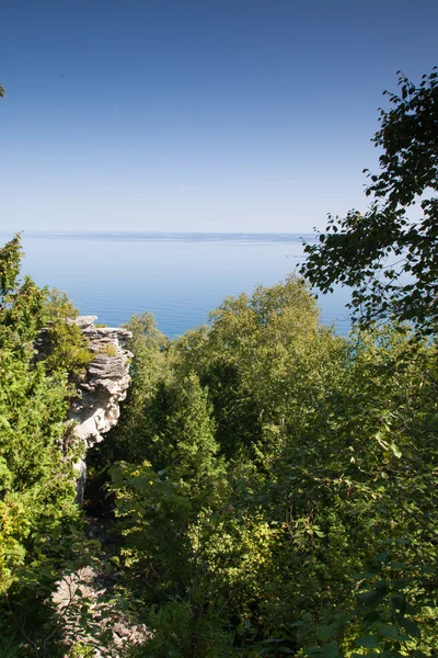 Trees with bay in the background — Stock Photo, Image