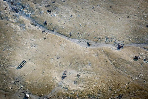 Ostron säng på stranden — Stockfoto