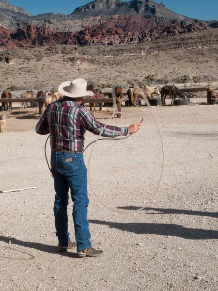 Cowboy-Lassoing — Stockfoto