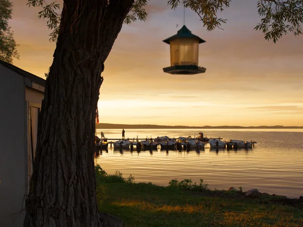 Bird feeder with boats in the background — Stock Photo, Image