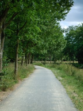 Forest Road