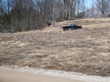 Bir ormandaki siyah araba