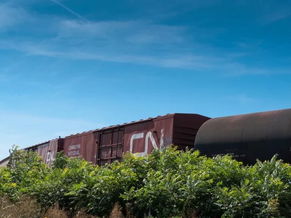 Cargo train — Stock Photo, Image