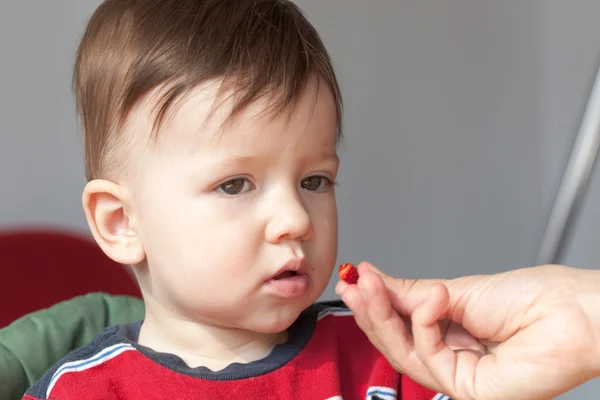 Mänsklig hand utfodring en pojke — Stockfoto