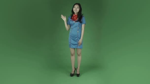 Air hostess talking and presenting — Stock Video