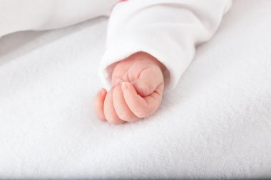 Yeni doğmuş bir bebeğin eli