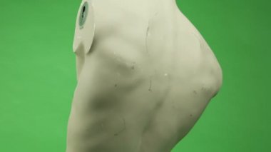 erkek torso