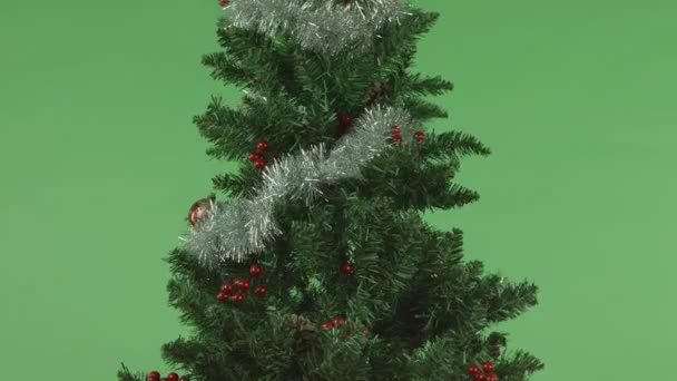 Albero di Natale — Video Stock