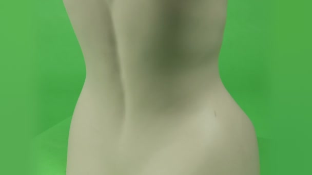 Torse féminin 