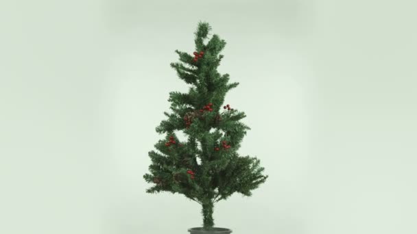 Kerstboom — Stockvideo