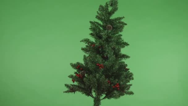 Albero di Natale — Video Stock