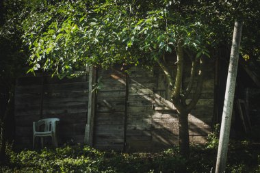 Güneşli bir günde ağaçlar ve çalılarla çevrili ahşap kulübe.