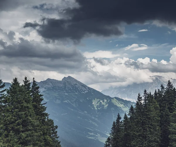 Scenic View Trees Mountain Cloudy Sky Austria — Stock Photo, Image