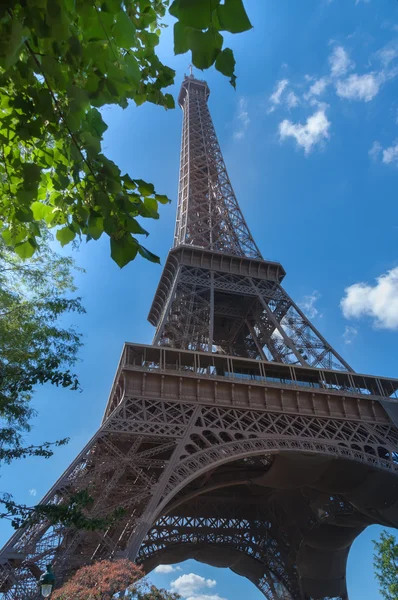 Torre Eiffel e foglie — Foto Stock