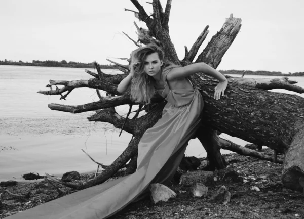 Mode meisje permanent in de buurt van omgevallen boom — Stockfoto