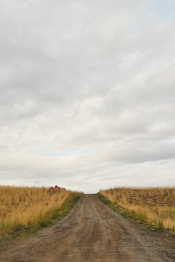 yol, alanlar ve ufuk peyzaj