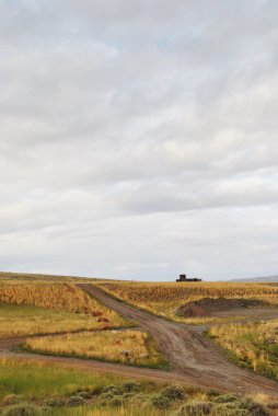 peyzaj, yollar ve bulutlu gökyüzü yaz, wyoming, ABD ile küçük kulübe çapraz