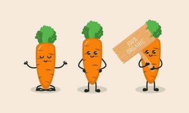 Bir çift havuç, sağlıklı sebze maskotu.