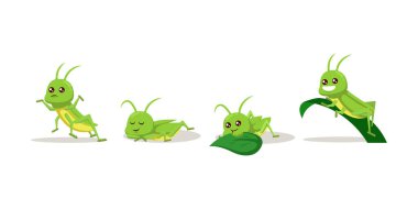 Sevimli yeşil çekirge böcek böcek maskotu tasarımı çizimi 