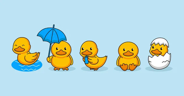 Set Cute Baby Ducks Sit Egg Raining Swimming — Stock Vector