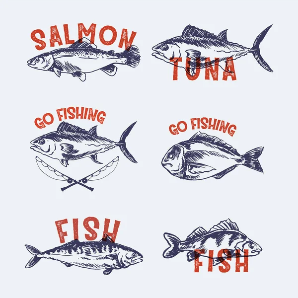 Set Dari Desain Logo Ikan Retro Label - Stok Vektor