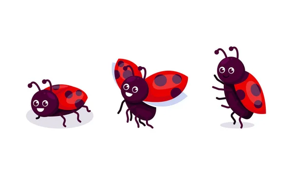 Set Lucu Serangga Ladybug Maskot Desain Ilustrasi - Stok Vektor