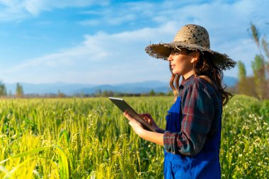 Kısa pantolon giyen bir kadın tabletle çalışıyor.