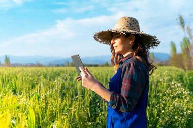 Kısa pantolon giyen bir kadın tabletle çalışıyor.