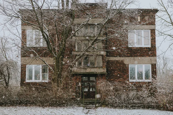 Voorzijde Van Appartement Bakstenen Huis Met Boom Ervoor Tijdens Sneeuwstorm — Stockfoto