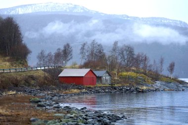 Norveç kırsal arazisi Sonbaharın sonlarında soğuk bulutlu bir günde