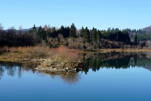 Přírodní Krajina Neznečištěné Prostředí Lesem Pozadí Jezerem Popředí — Stock fotografie