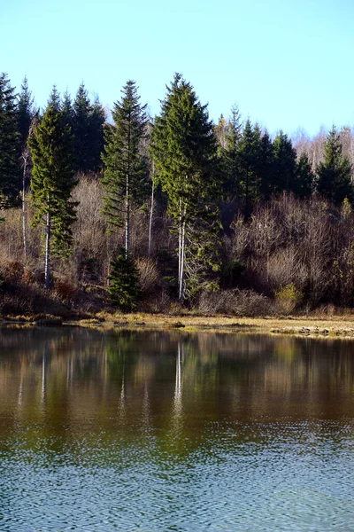 Pădurea Evergreen Aterizează Lângă Lac Toamnă Într Sumbră — Fotografie, imagine de stoc