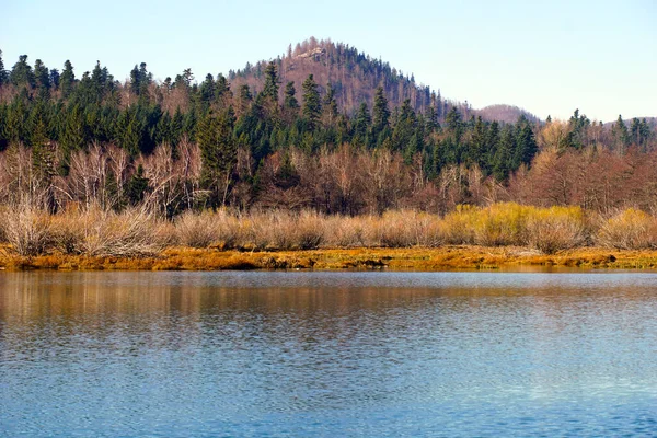 Ekologicky Přijatelné Přírodní Prostředí Krásné Neznečištěné Krajině Jezera — Stock fotografie