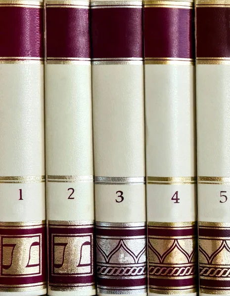 Elegant Hardcover Books Lined One Five Arranged Vertically Bookshelf — Fotografia de Stock
