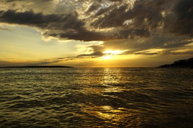 Seascape background. The natural marine environment is habitat to many animal and plant organisms