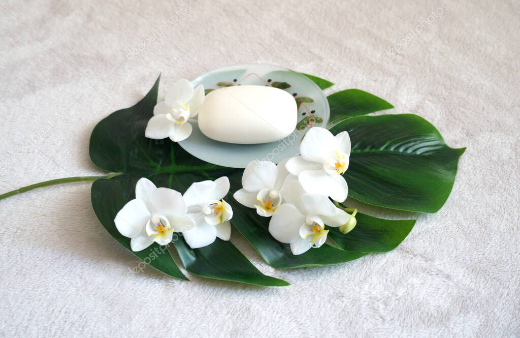 Body care and spa concept background with white organic soap and white orchid flowers arranged on a philodendron leaf