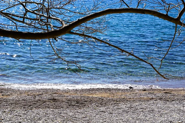 Prachtig Natuurconcept Met Kiezelstrand Aan Kust Het Vroege Voorjaar Met — Stockfoto