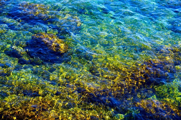 Soulagement Des Fonds Marins Colorés Dans Les Eaux Peu Profondes — Photo