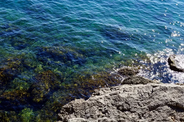 Экологически Чистая Газированная Морская Вода Вдоль Скалистого Берега Прекрасный Солнечный — стоковое фото