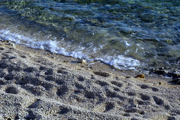 Beach Fine Gravel Sea Shore Blue Sea Water — ストック写真