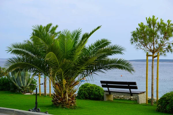 Second Summer Vacation Concept Green Palm Bench Relaxing Beach Sea — Stockfoto