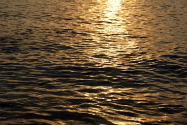 The rippled and wavy surface of the sea in golden color with the shine of the sun rays on the gold surface