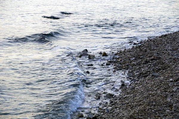 Silvery Surface Sea Water Washes Pebbly Seashore Morning — Foto de Stock