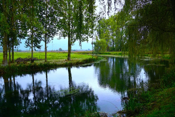 Magnificent Autumn Colors River Bank Green Willows Reflected Water — Stock Photo, Image