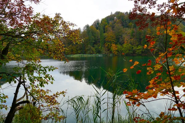 Podzimní Atmosféra Přírodě Lesem Stromy Barevnými Listy Tyrkysovou Jezerní Vodou — Stock fotografie