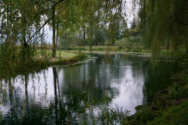 Bereketli yeşil bitki örtüsü, karanlık sonbahar gününde nehir kenarında bitkiler ve ağaçlar.