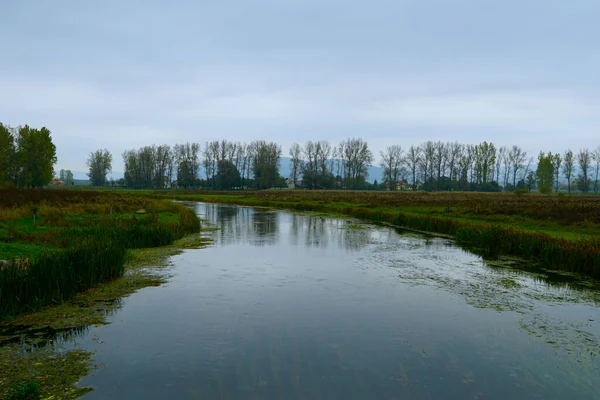 Caudal Pacífico Río Tranquilo Con Agua Turquesa Otoño —  Fotos de Stock