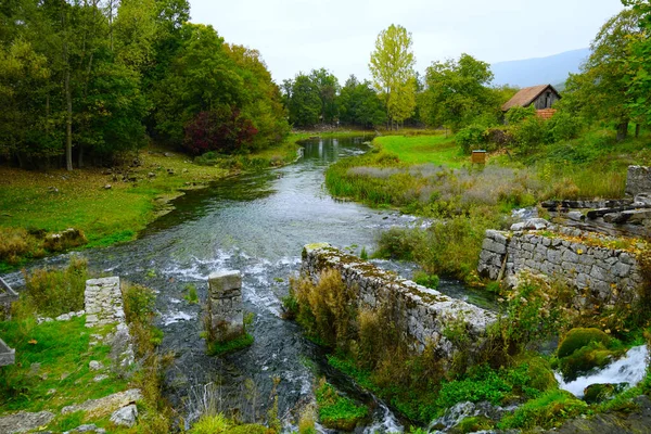 Pramen Chorvatské Řeky Gacky Nedotčené Zelené Přírodě — Stock fotografie