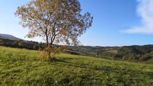 越野车穿越秋天喀尔巴阡山脉 — 图库视频影像