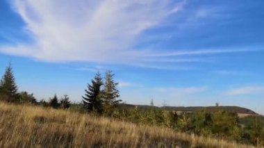 SUV sonbahar Karpatlar boyunca seyahat eder.